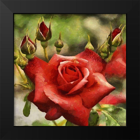 Rose with Buds Black Modern Wood Framed Art Print by Medeiros, Celito