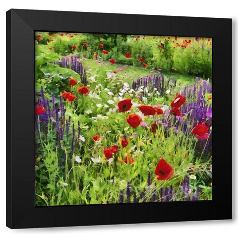 Lupins and Poppies Black Modern Wood Framed Art Print with Double Matting by Medeiros, Celito