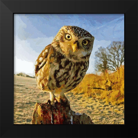 Owl in Winter Black Modern Wood Framed Art Print by Medeiros, Celito