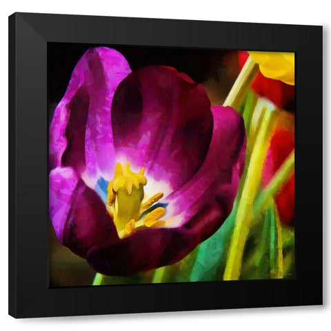 Purple Tulips Black Modern Wood Framed Art Print with Double Matting by Medeiros, Celito