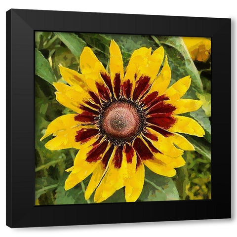 Yellow Brown Sunflower Black Modern Wood Framed Art Print with Double Matting by Medeiros, Celito