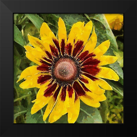 Yellow Brown Sunflower Black Modern Wood Framed Art Print by Medeiros, Celito