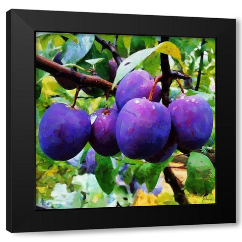 Ripe Plums Black Modern Wood Framed Art Print by Medeiros, Celito