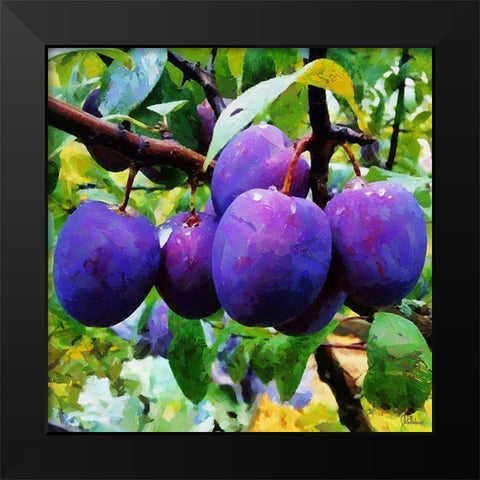 Ripe Plums Black Modern Wood Framed Art Print by Medeiros, Celito