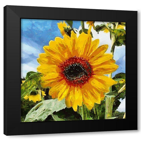 Big Sunflower Black Modern Wood Framed Art Print by Medeiros, Celito