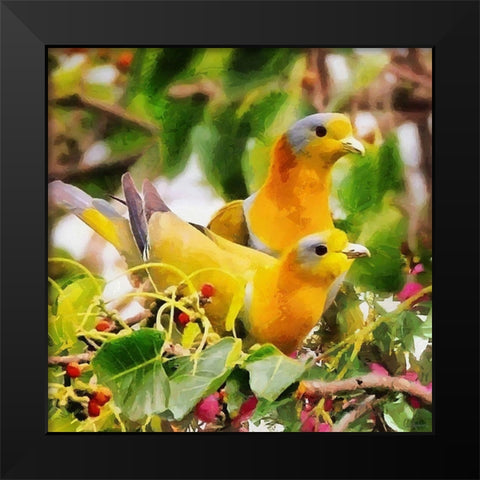 Two Yellow Pigeons Black Modern Wood Framed Art Print by Medeiros, Celito