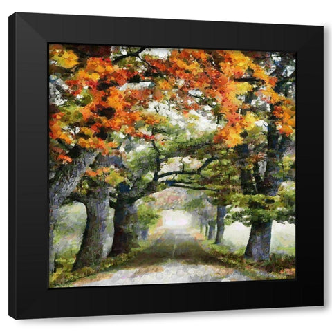 Romantic Autumn Way Black Modern Wood Framed Art Print by Medeiros, Celito