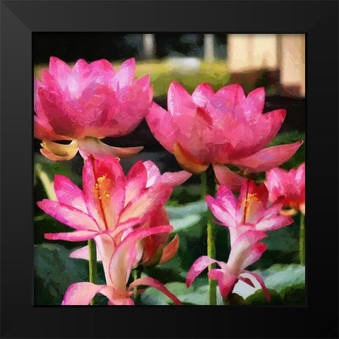 Pink Water Lillies Black Modern Wood Framed Art Print by Medeiros, Celito