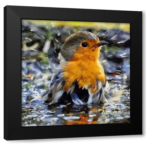 Bathing Bird Black Modern Wood Framed Art Print with Double Matting by Medeiros, Celito