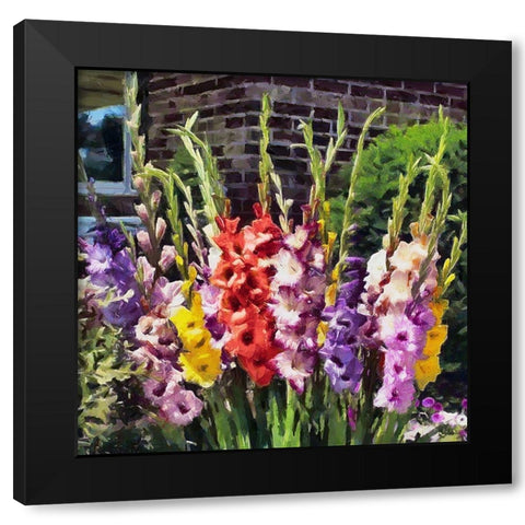 Gladiolus Black Modern Wood Framed Art Print by Medeiros, Celito