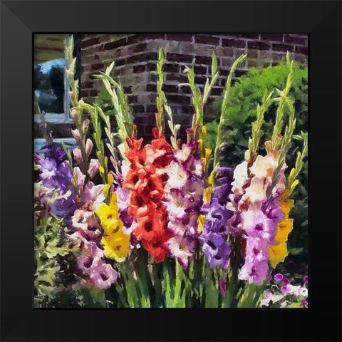 Gladiolus Black Modern Wood Framed Art Print by Medeiros, Celito