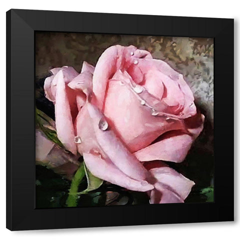 The Pink Rose Black Modern Wood Framed Art Print by Medeiros, Celito