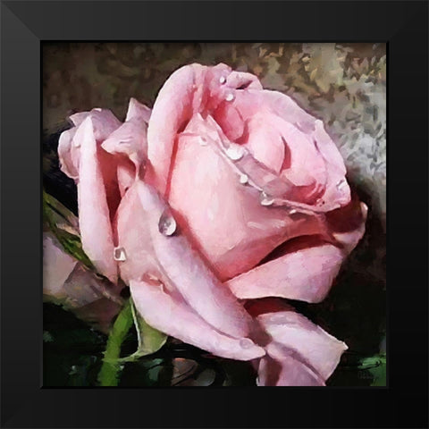 The Pink Rose Black Modern Wood Framed Art Print by Medeiros, Celito