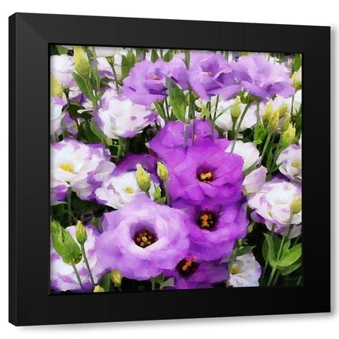 White and Purple Flowers Black Modern Wood Framed Art Print by Medeiros, Celito