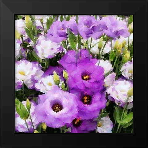 White and Purple Flowers Black Modern Wood Framed Art Print by Medeiros, Celito