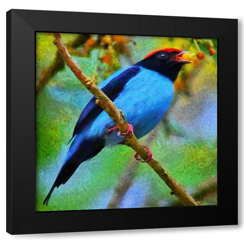 Blue Bird sing a Song Black Modern Wood Framed Art Print by Medeiros, Celito