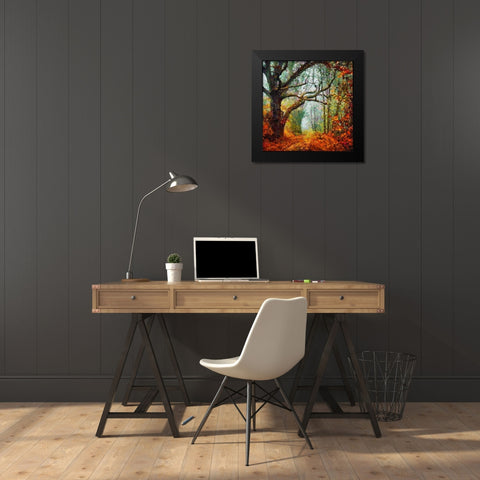 Autumn Tree Black Modern Wood Framed Art Print by Medeiros, Celito