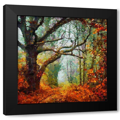Autumn Tree Black Modern Wood Framed Art Print with Double Matting by Medeiros, Celito