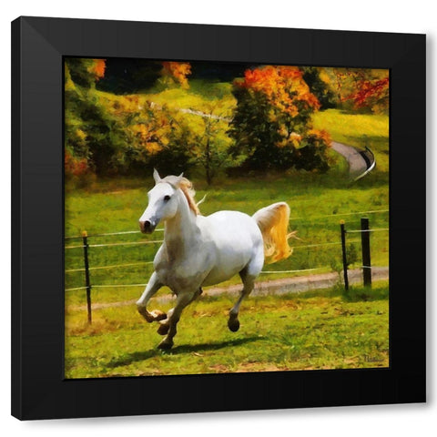 White Horse Black Modern Wood Framed Art Print by Medeiros, Celito