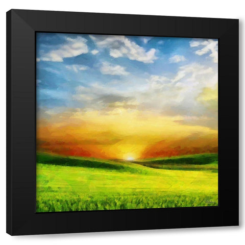 Sunrise over the Meadow Black Modern Wood Framed Art Print by Medeiros, Celito