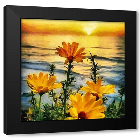 Yellow Flowers by Sunset Black Modern Wood Framed Art Print with Double Matting by Medeiros, Celito