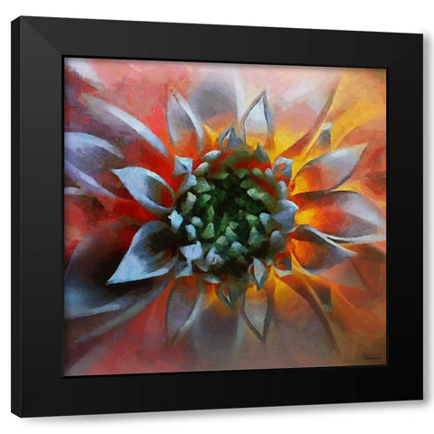 Flower in Red Black Modern Wood Framed Art Print by Medeiros, Celito