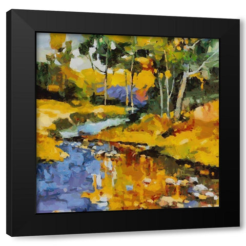 Stream in the Countryside Black Modern Wood Framed Art Print with Double Matting by Medeiros, Celito