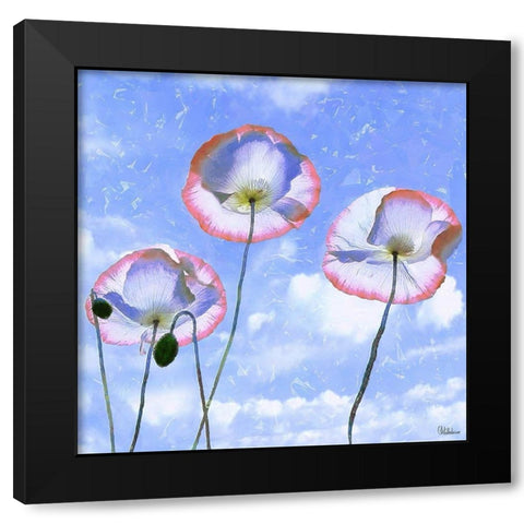 Three Poppies II Black Modern Wood Framed Art Print with Double Matting by Medeiros, Celito