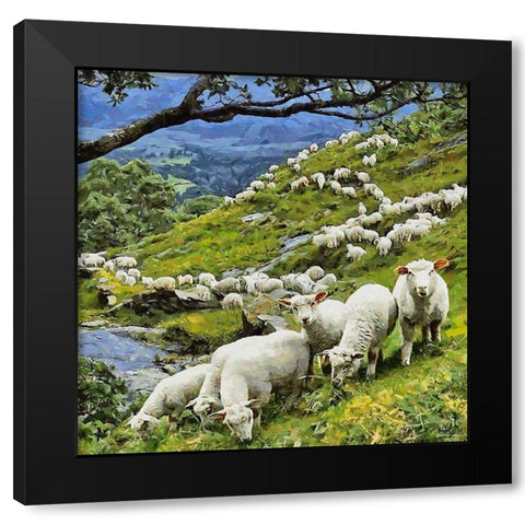 Sheeps on New Zealand Black Modern Wood Framed Art Print with Double Matting by Medeiros, Celito