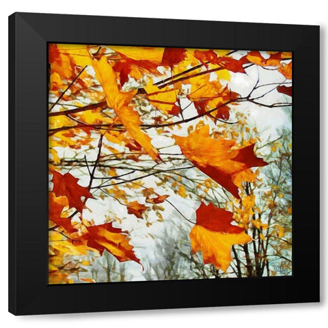 Autumn is Here Black Modern Wood Framed Art Print by Medeiros, Celito