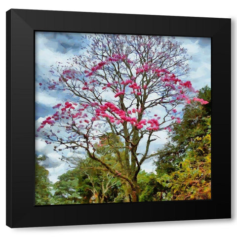Pink Flowering Tree Black Modern Wood Framed Art Print by Medeiros, Celito
