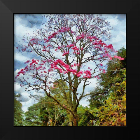 Pink Flowering Tree Black Modern Wood Framed Art Print by Medeiros, Celito