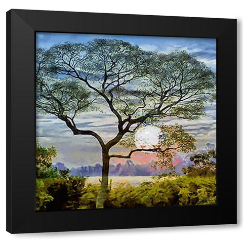 The Sunset behind the Tree Black Modern Wood Framed Art Print by Medeiros, Celito