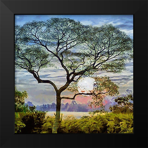 The Sunset behind the Tree Black Modern Wood Framed Art Print by Medeiros, Celito