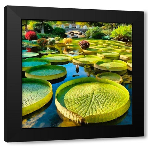 Big Green Watter Lilly Black Modern Wood Framed Art Print with Double Matting by Medeiros, Celito