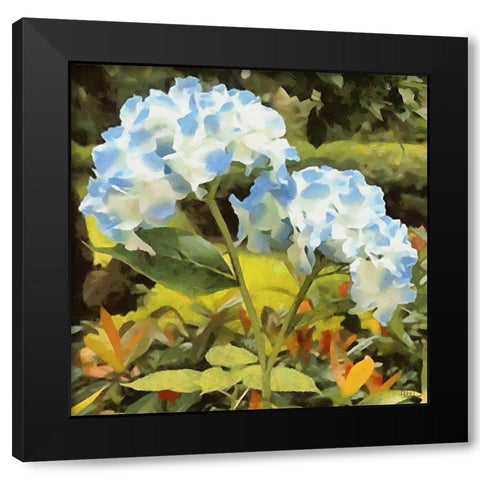 Blue Hydrangea Black Modern Wood Framed Art Print by Medeiros, Celito