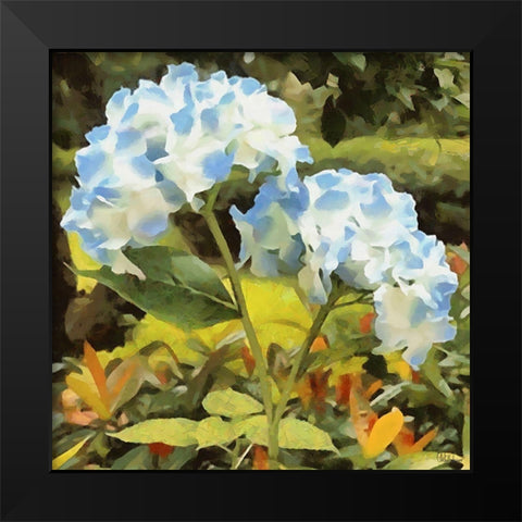 Blue Hydrangea Black Modern Wood Framed Art Print by Medeiros, Celito