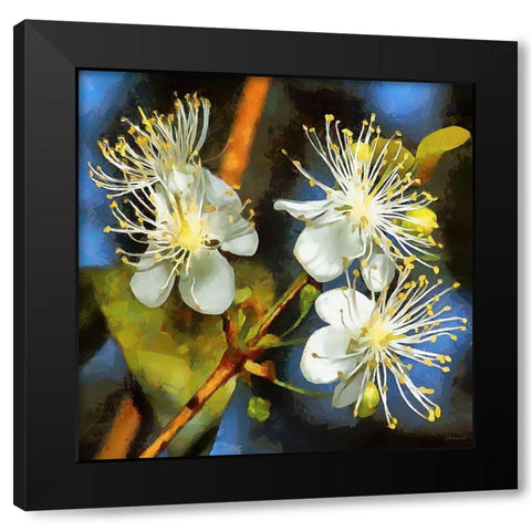 Spring Floral Variations III Black Modern Wood Framed Art Print with Double Matting by Medeiros, Celito