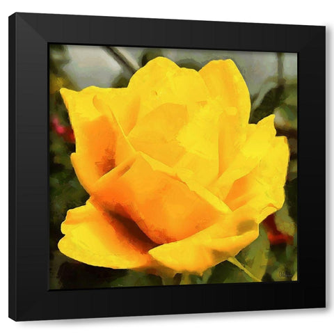 Spring Floral Variations VIII Black Modern Wood Framed Art Print by Medeiros, Celito