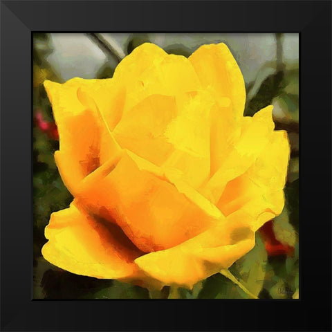 Spring Floral Variations VIII Black Modern Wood Framed Art Print by Medeiros, Celito