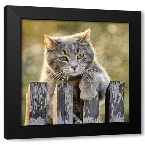 Curious Cat Black Modern Wood Framed Art Print with Double Matting by Medeiros, Celito
