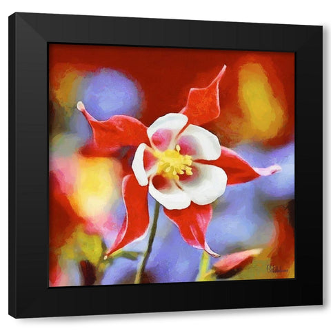 Orchids IX Black Modern Wood Framed Art Print with Double Matting by Medeiros, Celito