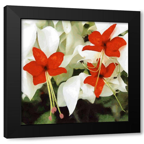 Orchids X Black Modern Wood Framed Art Print with Double Matting by Medeiros, Celito