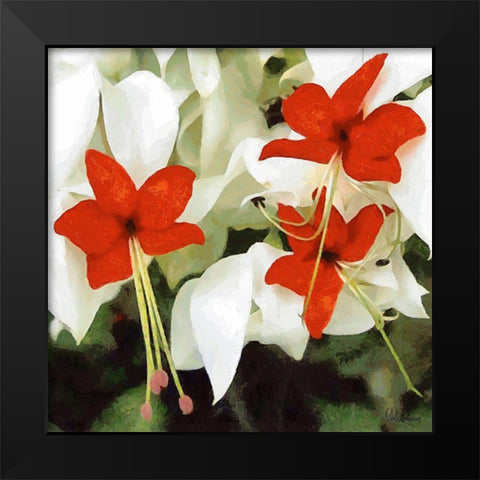 Orchids X Black Modern Wood Framed Art Print by Medeiros, Celito