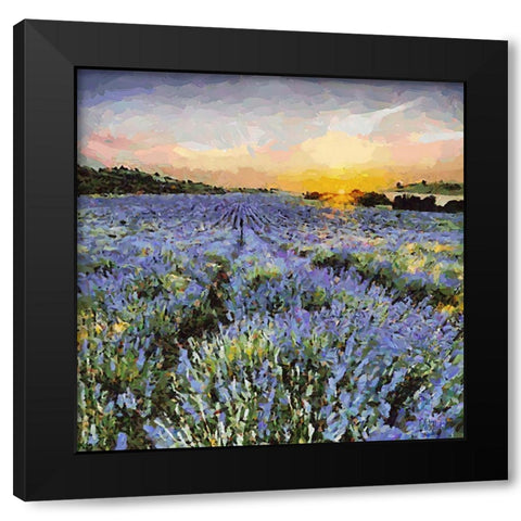 Lavender Field I Black Modern Wood Framed Art Print by Medeiros, Celito