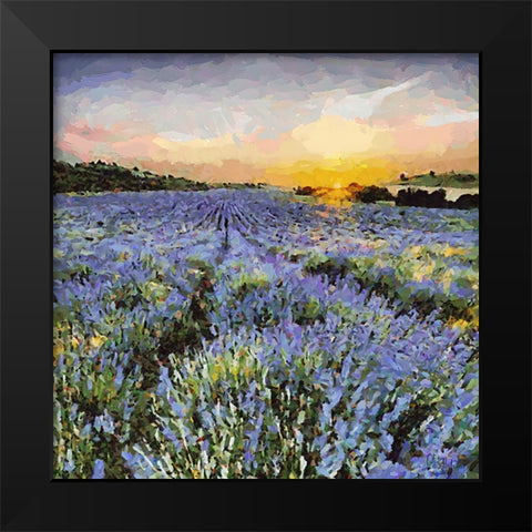 Lavender Field I Black Modern Wood Framed Art Print by Medeiros, Celito