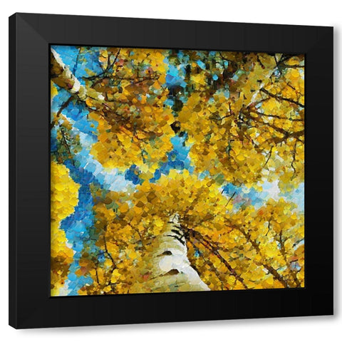 Collectio of Bloomin and Autumn Trees I Black Modern Wood Framed Art Print with Double Matting by Medeiros, Celito