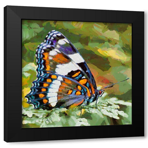Butterfly Wings II Black Modern Wood Framed Art Print with Double Matting by Medeiros, Celito