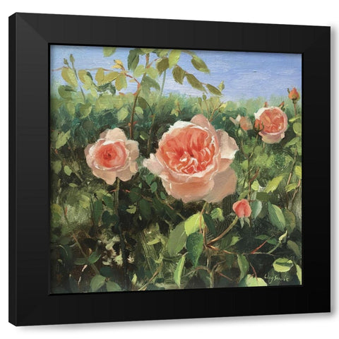 Garden Roses V Black Modern Wood Framed Art Print with Double Matting by Strube, Ling