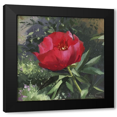 Peony Black Modern Wood Framed Art Print with Double Matting by Strube, Ling